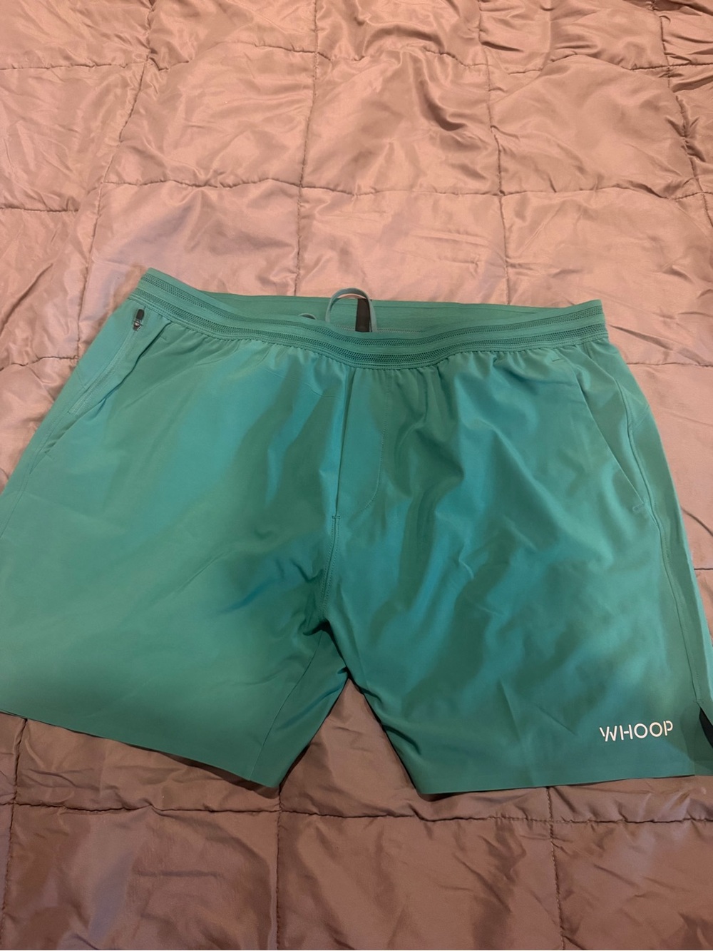 WHOOP Men's Training Short- Teal